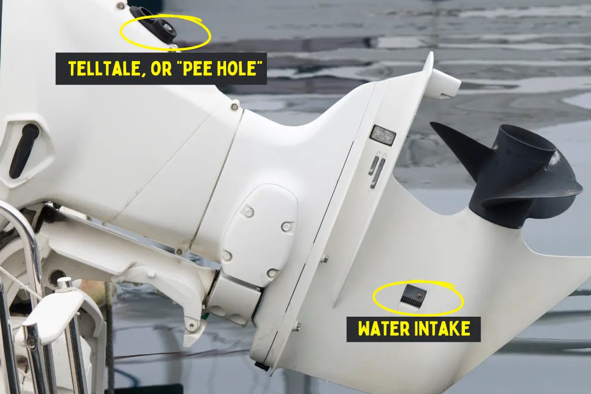 Boat Engine Not Peeing (Outboard Telltale) Causes & Fixes » Cuddy and