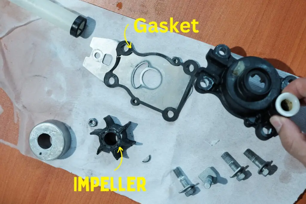 image showing an outboard engine's impeller and gasket.