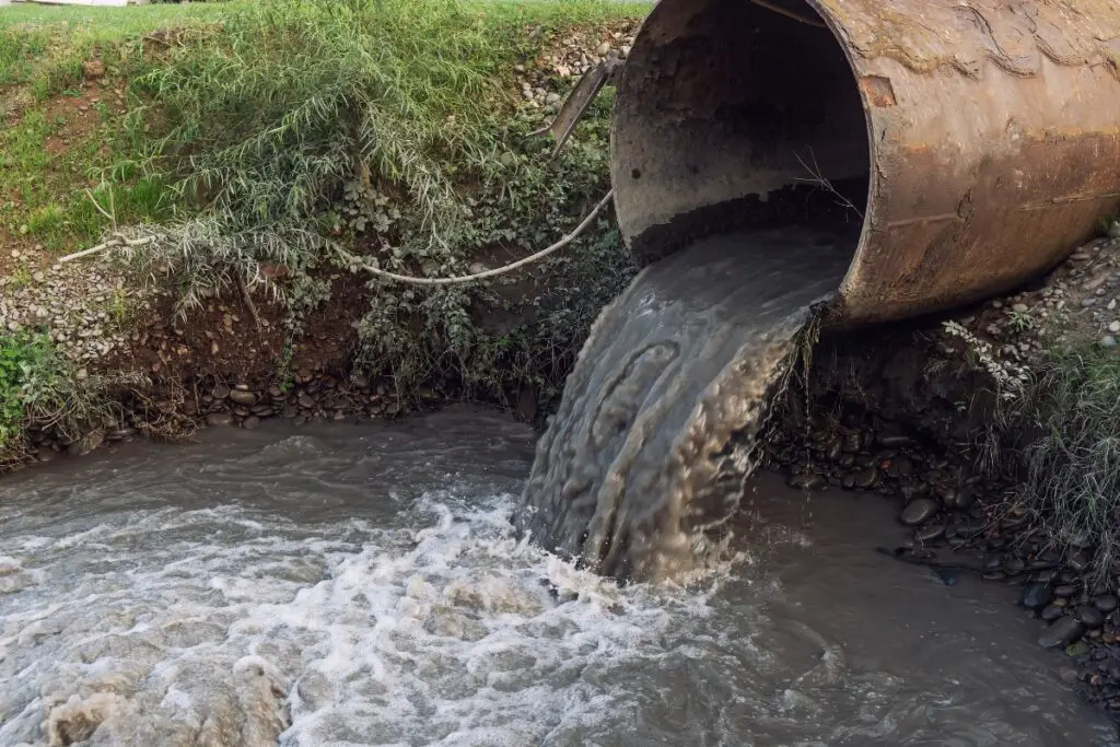 image of sewage being dumped in the water